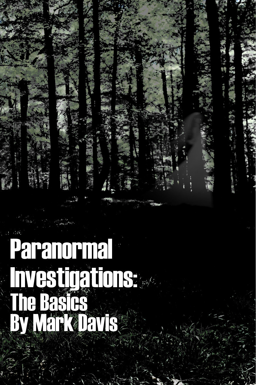 Paranormal Investigations Book Cover