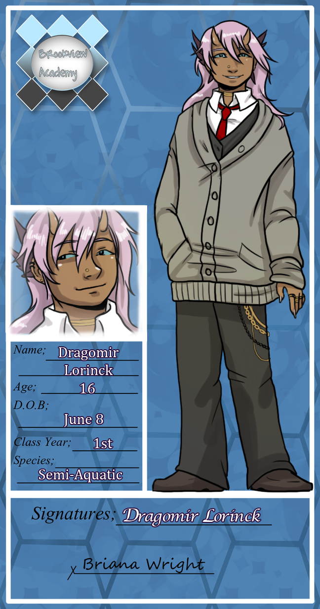 Brookview Academy: Dragomir