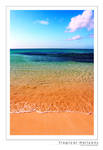 Tropical Horizons by parrothead529