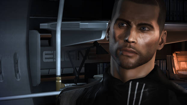 Shepard_skreenshot