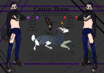 Castor Moon (OC) reference sheet.