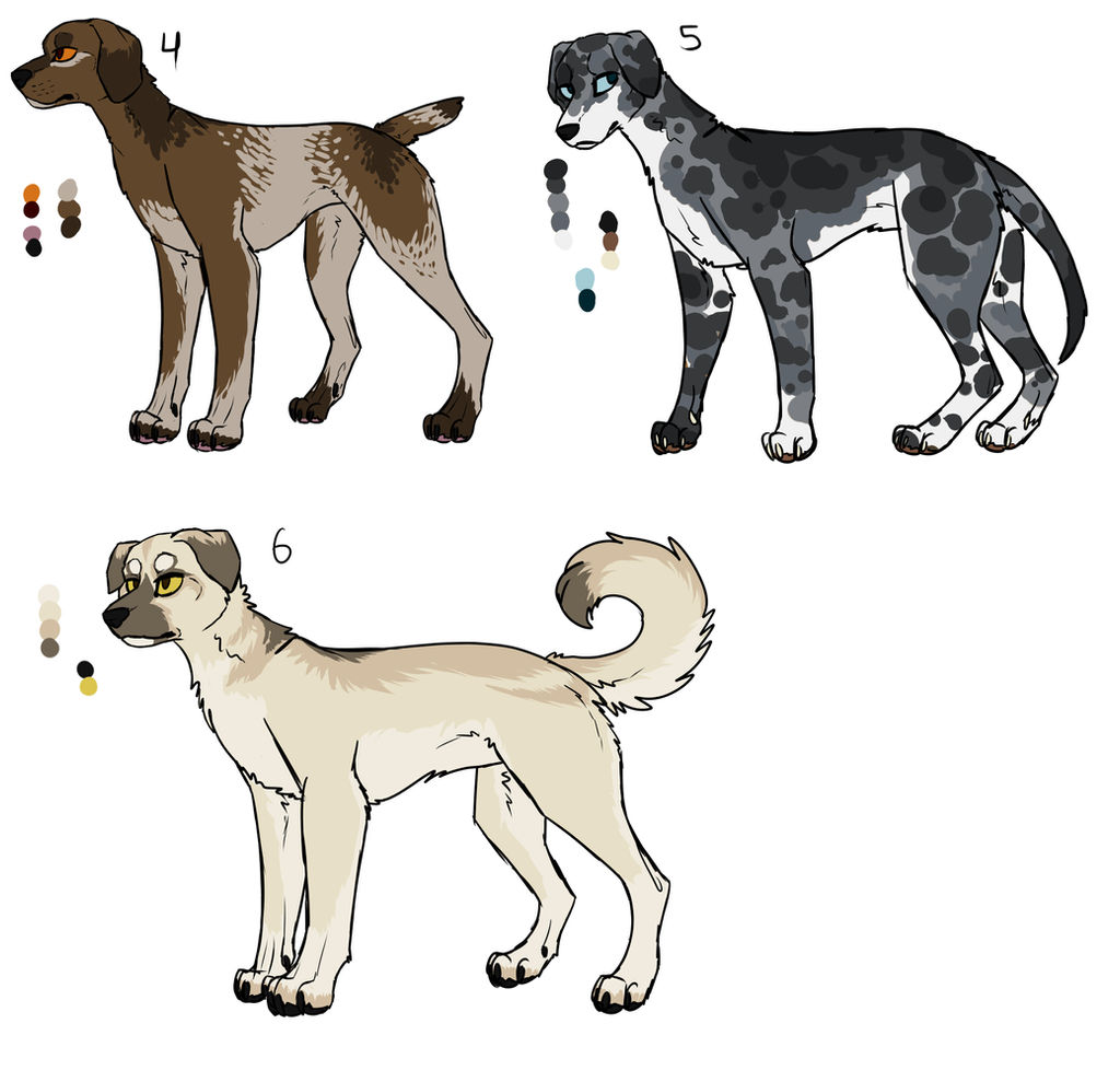 Adoptables for COR -2- CLOSED