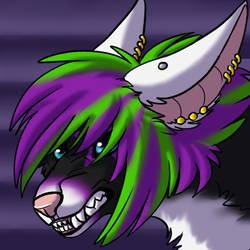 Com: Zelah Icon