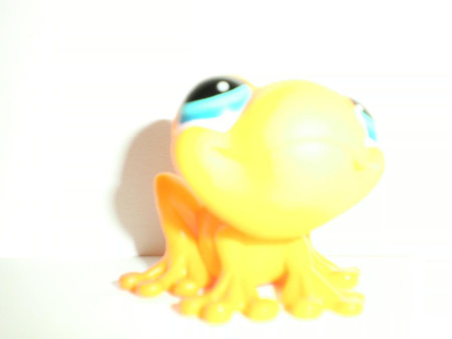 Froggie