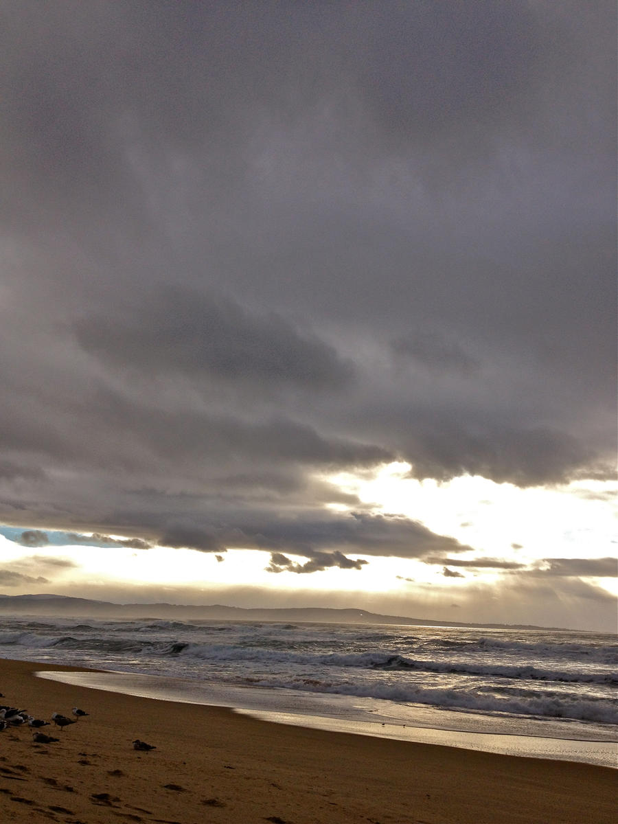 Marina State Beach