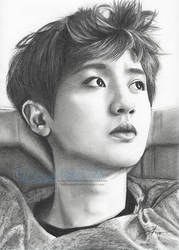 Chanyeol .:dIE JUNGs FanArt:.