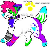 A very colorful adoptable