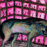 backed into a cage of moral shame
