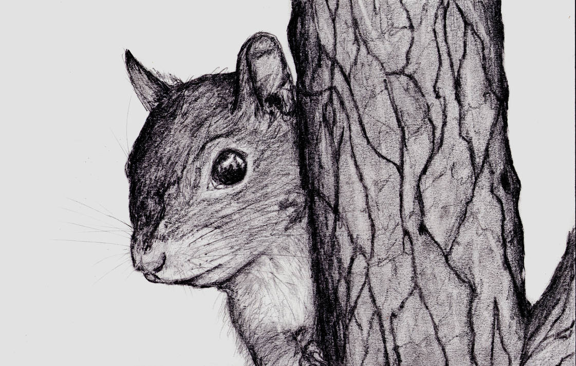 Custom Pet or Animal Shaded Realistic Art