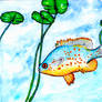 fish for Ficatta