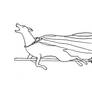 everyone deserves a chance to fly