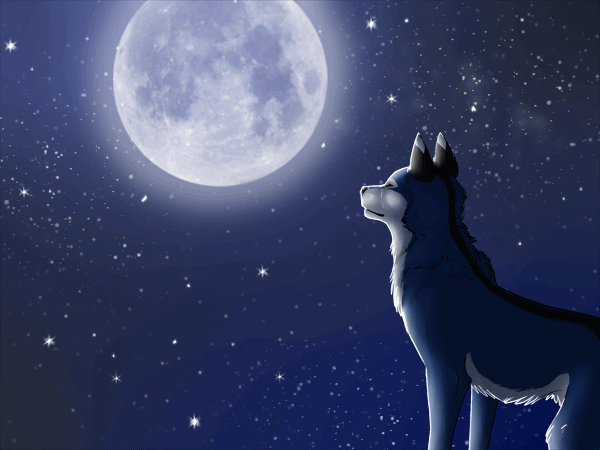 falling stars - animation try :.. by Freewolf7 on DeviantArt