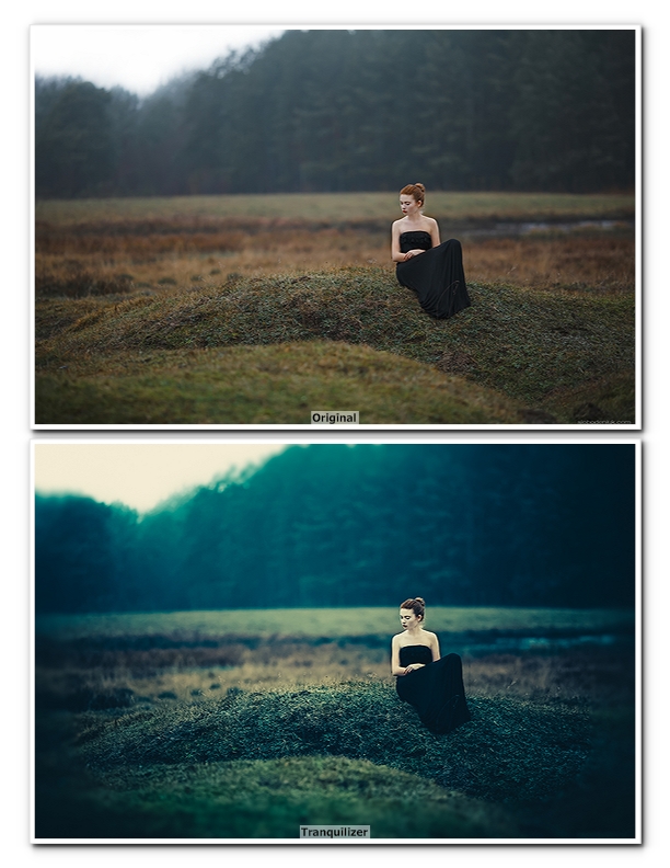 50 Colorful Presets for Adobe Photoshop Lightroom