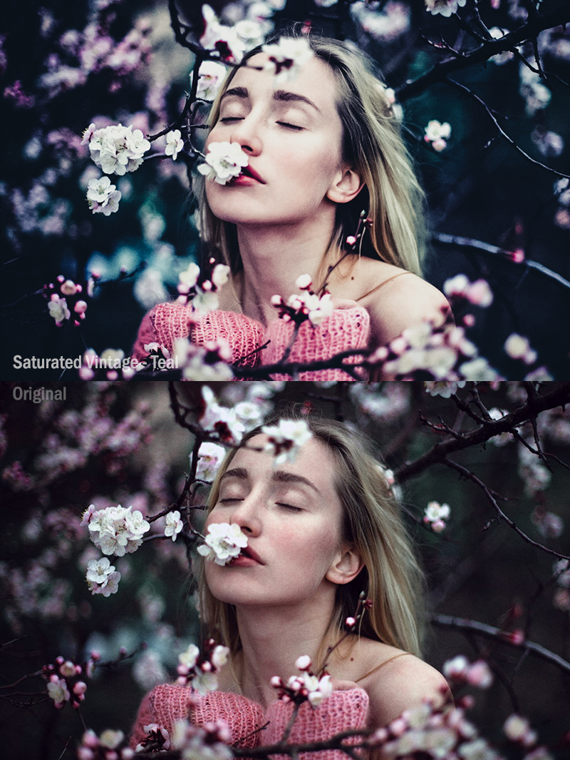 50 Premium Lightroom Presets