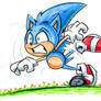 Sonic Trippin (1)