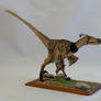 Graciliraptor 2