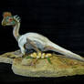 Oviraptor 1