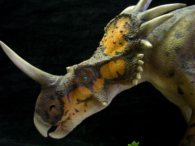 Styracosaurus