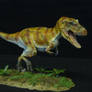 Gorgosaurus