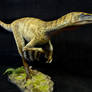 CM Studio 1/2 Scale Velociraptor
