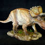 1:15 Scale Triceratops