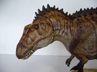 Acrocanthosaurus