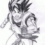 Dragon ballz ~Goku