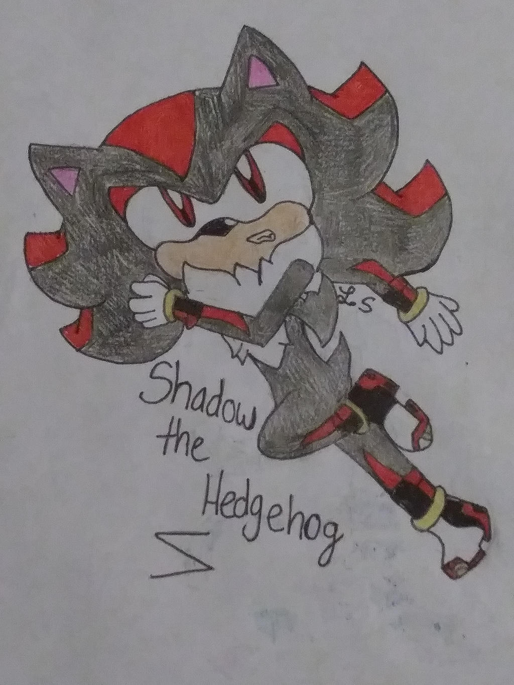 Shadow .T. Hedgehog by Basil-the-Naga on DeviantArt