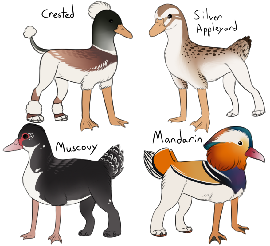 Duck gryphons