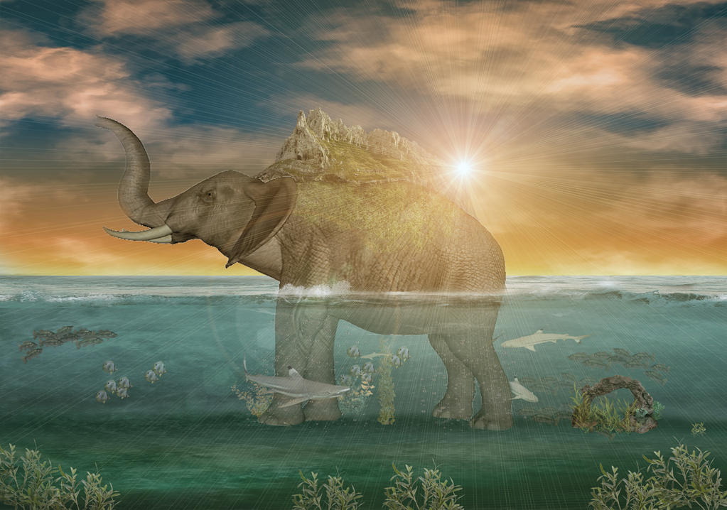 The Big Elephant Inspired By Zou Island Onepiece By Ziiozie On Deviantart The Big Elephant Inspired By Zou Island Onepiece By Ziiozie On Deviantart