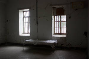 Patient Dorm Trans-Allegheny Lunatic Asylum by DLR-CoverDesigns