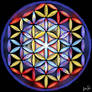 Flower of Life