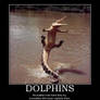 Dolphins