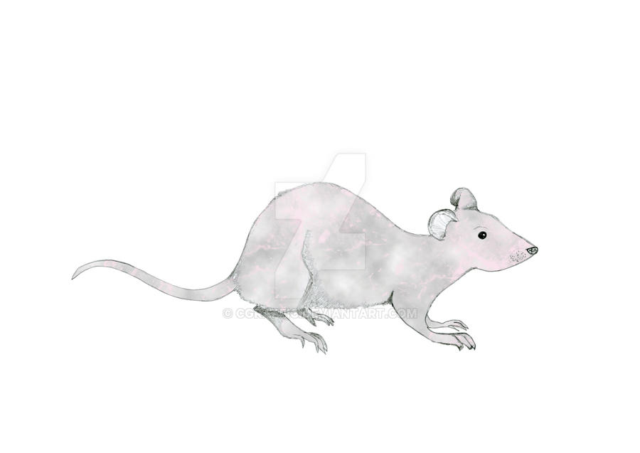 Mouse illustration by cgraffic on DeviantArt