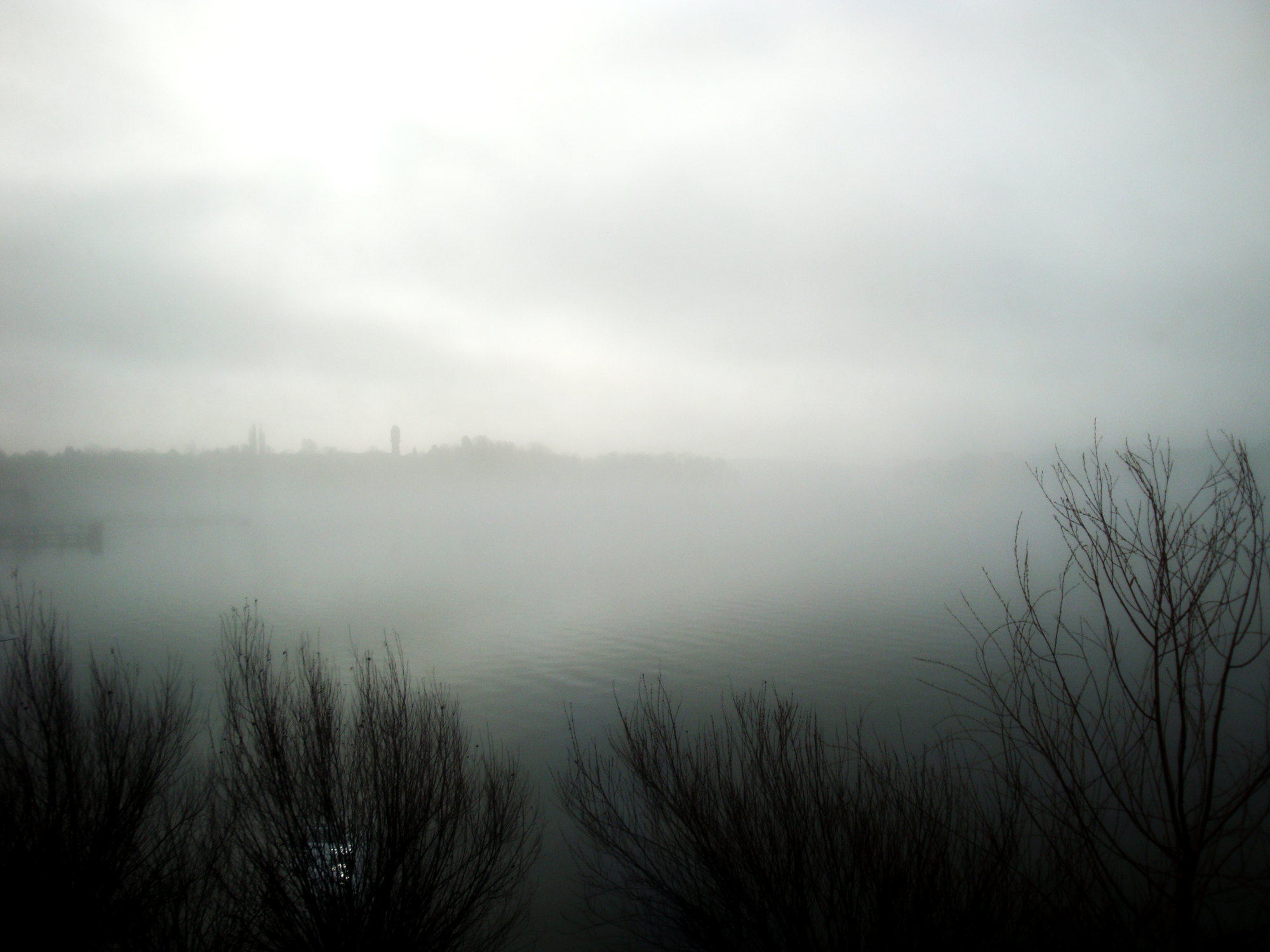 Foggy lake