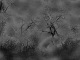 The Edge of Eternity