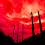 Against a Blood Red Sky