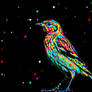 Sparkle Bird