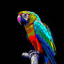 RGBI Macaw