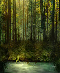 BG Fantasy Forest Stock