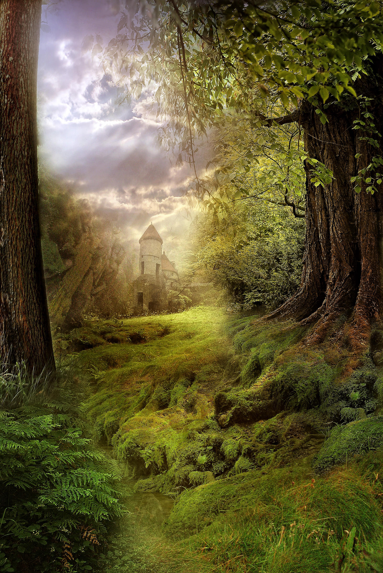 BG Fantasy Forest stock