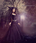 Evil by irinama