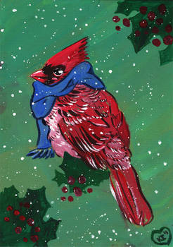 A Christmas Cardinal