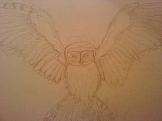 OWL in progress