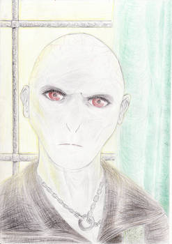 Img Lord Voldemort in Malfoy Manor