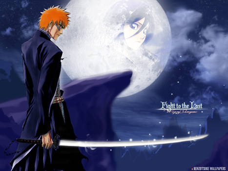 Bleach2