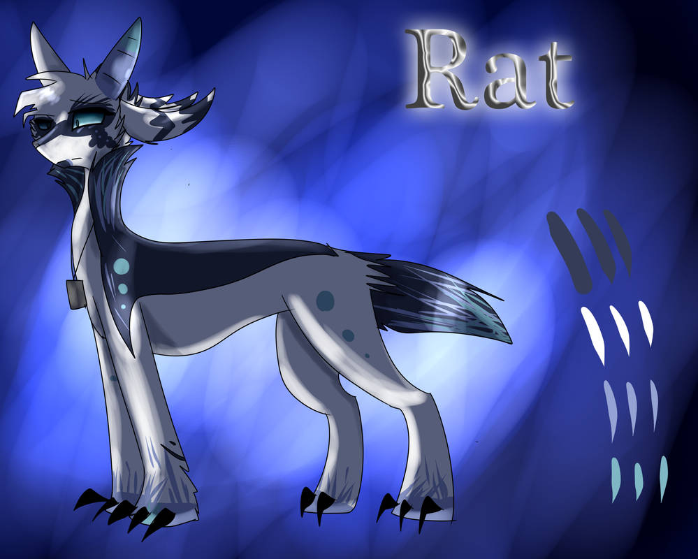 Rat Reference Sheet by Litwicke on DeviantArt