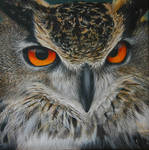 Stare. Acrylic on canvas by Li-Soro