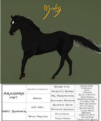 Morwen Broodmare shot