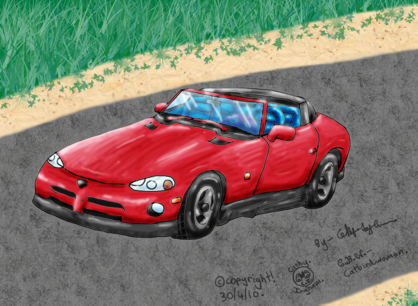 My-Viper car-Colour